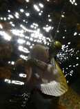 foto/forum/2011/th-img17941.jpg
