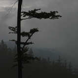 foto/forum/2011/th-img17949.jpg