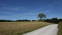 foto/forum/2011/th-img17950.jpg