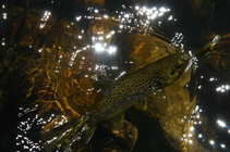 foto/forum/2011/th-img17955.jpg