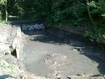 foto/forum/2011/th-img17958.jpg