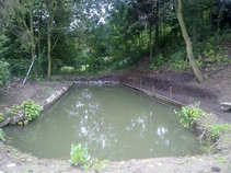 foto/forum/2011/th-img17960.jpg