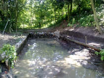 foto/forum/2011/th-img17961.jpg