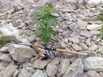foto/forum/2011/th-img17978.jpg