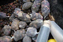 foto/forum/2011/th-img17992.jpg