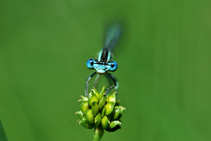 foto/forum/2011/th-img17993.jpg