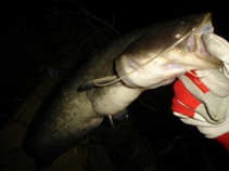 foto/forum/2011/th-img17998.jpg