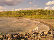 foto/forum/2011/th-img18002.jpg