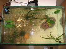 foto/forum/2011/th-img18027.jpg