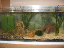 foto/forum/2011/th-img18038.jpg