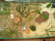 foto/forum/2011/th-img18039.jpg