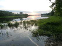 foto/forum/2011/th-img18061.jpg