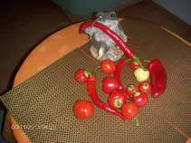 foto/forum/2011/th-img18066.jpg