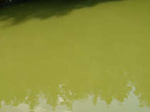 foto/forum/2011/th-img18092.jpg