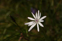 foto/forum/2011/th-img18117.jpg