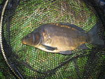 foto/forum/2011/th-img18120.jpg