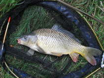 foto/forum/2011/th-img18121.jpg