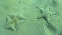 foto/forum/2011/th-img18152.jpg