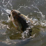 foto/forum/2011/th-img18163.jpg