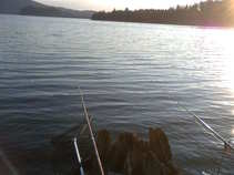 foto/forum/2011/th-img18195.jpg