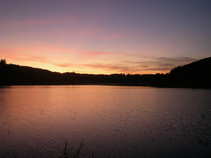 foto/forum/2011/th-img18210.jpg