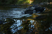 foto/forum/2011/th-img18211.jpg