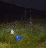 foto/forum/2011/th-img18221.jpg