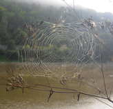 foto/forum/2011/th-img18223.jpg