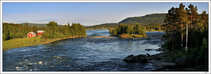 foto/forum/2011/th-img18243.jpg