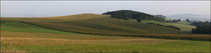 foto/forum/2011/th-img18259.jpg