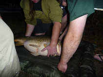 foto/forum/2011/th-img18263.jpg