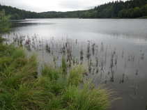 foto/forum/2011/th-img18269.jpg