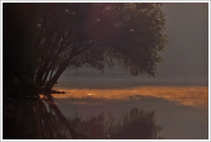 foto/forum/2011/th-img18272.jpg