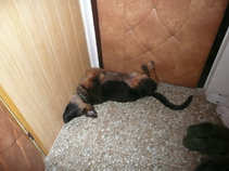 foto/forum/2011/th-img18290.jpg
