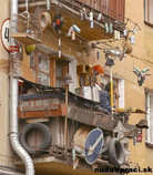 foto/forum/2011/th-img18301.jpg