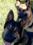 foto/forum/2011/th-img18303.jpg
