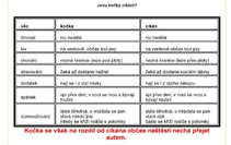 foto/forum/2011/th-img18305.jpg