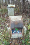 foto/forum/2011/th-img18315.jpg