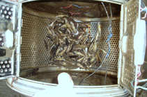 foto/forum/2011/th-img18316.jpg