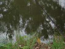 foto/forum/2011/th-img18391.jpg