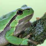 foto/forum/2011/th-img18406.jpg