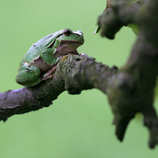 foto/forum/2011/th-img18407.jpg