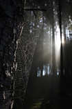 foto/forum/2011/th-img18470.jpg