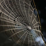 foto/forum/2011/th-img18471.jpg