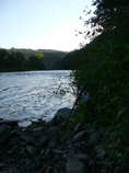 foto/forum/2011/th-img18500.jpg