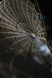 foto/forum/2011/th-img18502.jpg