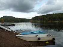 foto/forum/2011/th-img18518.jpg