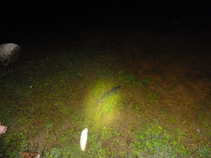 foto/forum/2011/th-img18531.jpg