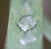 foto/forum/2011/th-img18553.jpg
