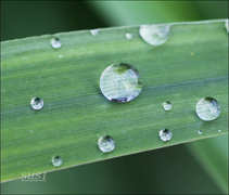 foto/forum/2011/th-img18561.jpg